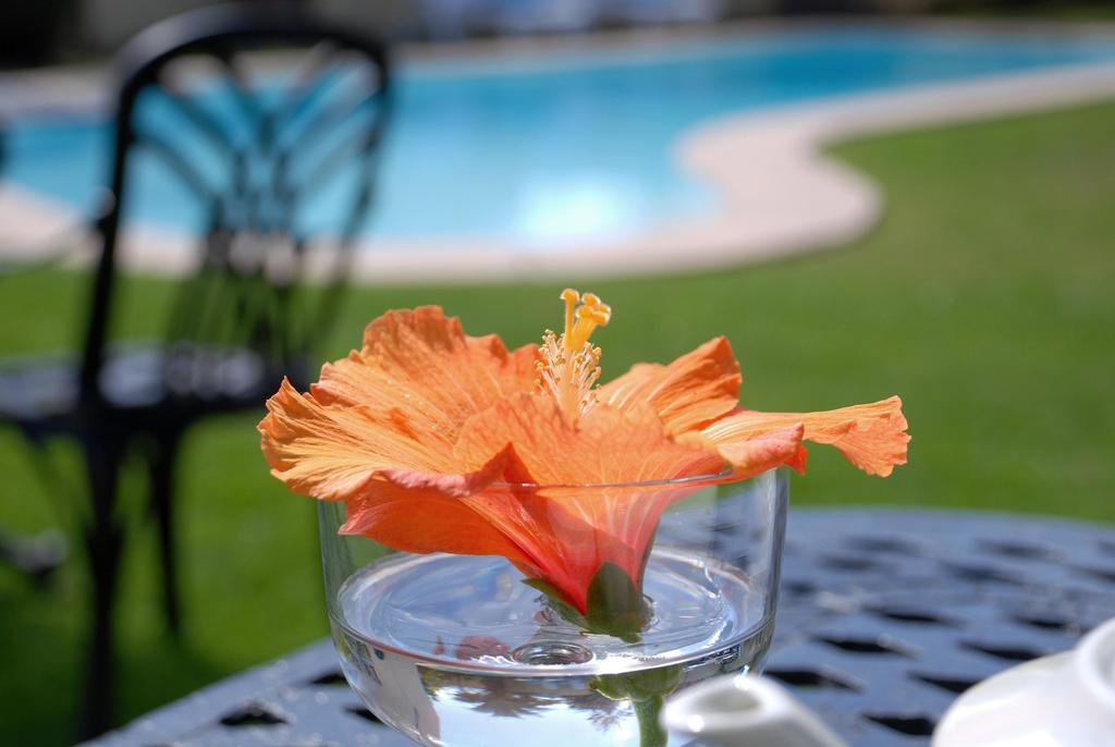 Mandalay Guest House Plettenberg Bay Exterior foto